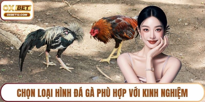Đá gà OXBET