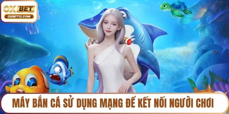 Máy bắn cá